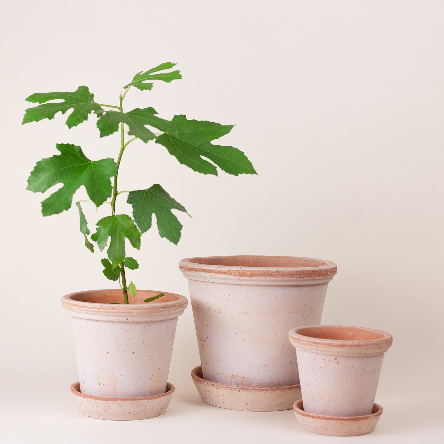 Flora Pot with Saucer