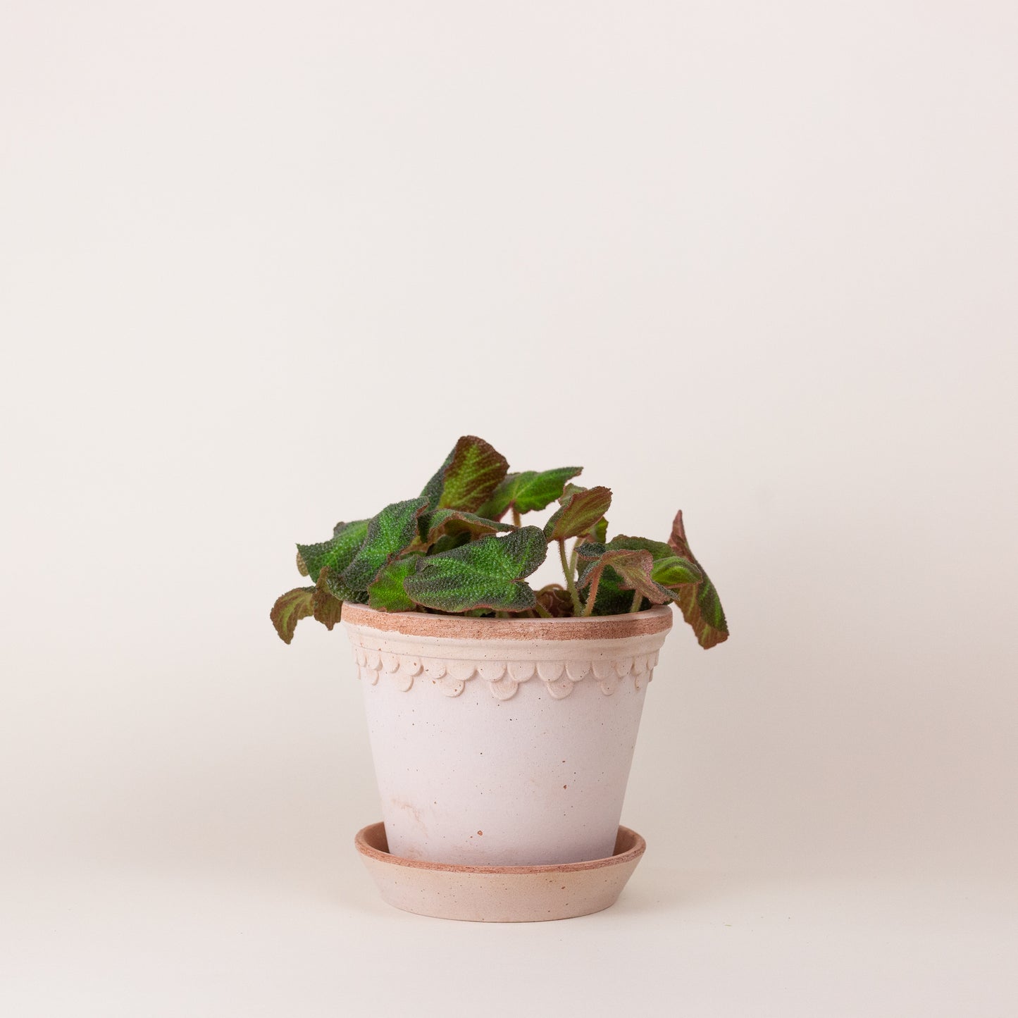 Copenhagen Pot with Saucer