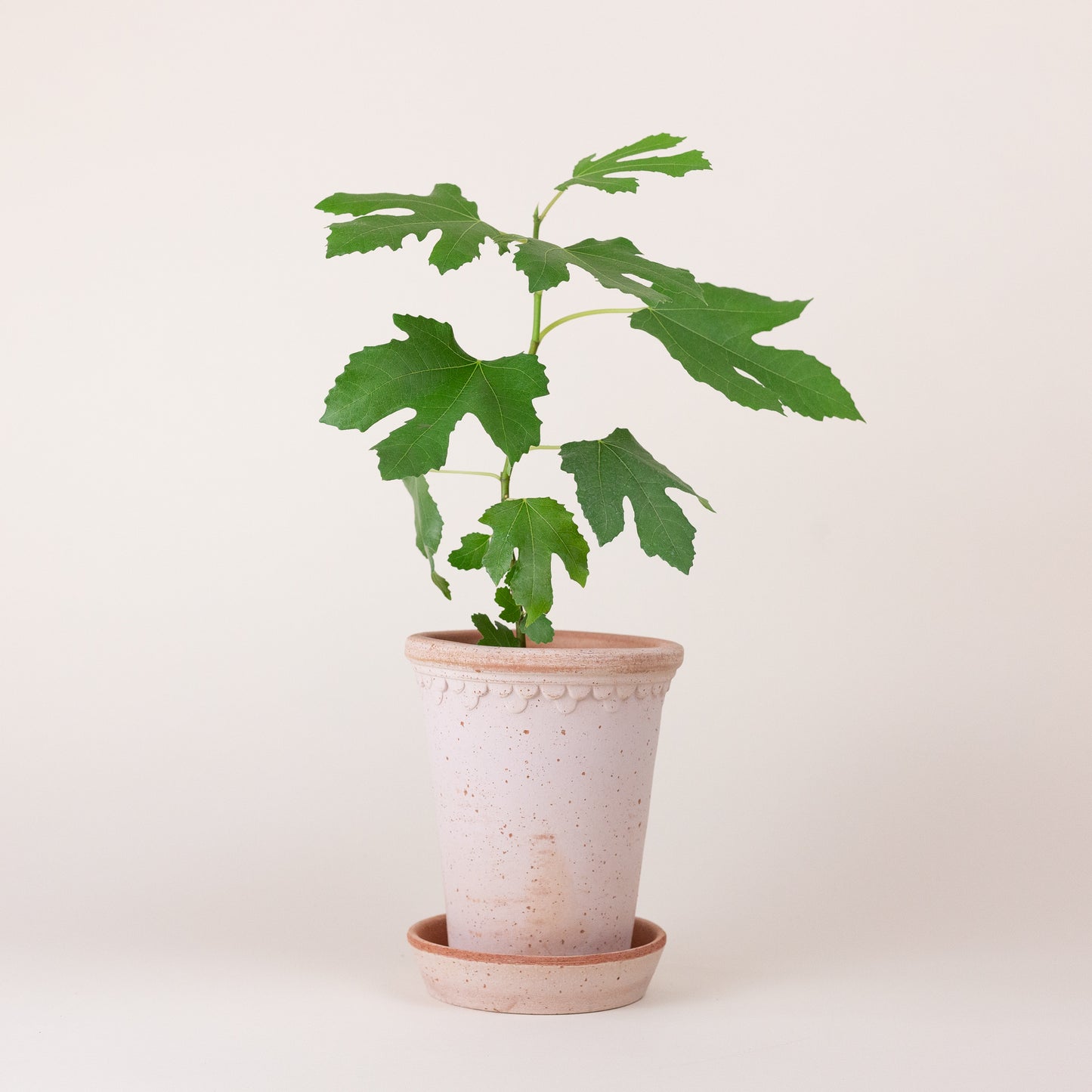 Copenhagen Tall Pot Ø14 with Saucer