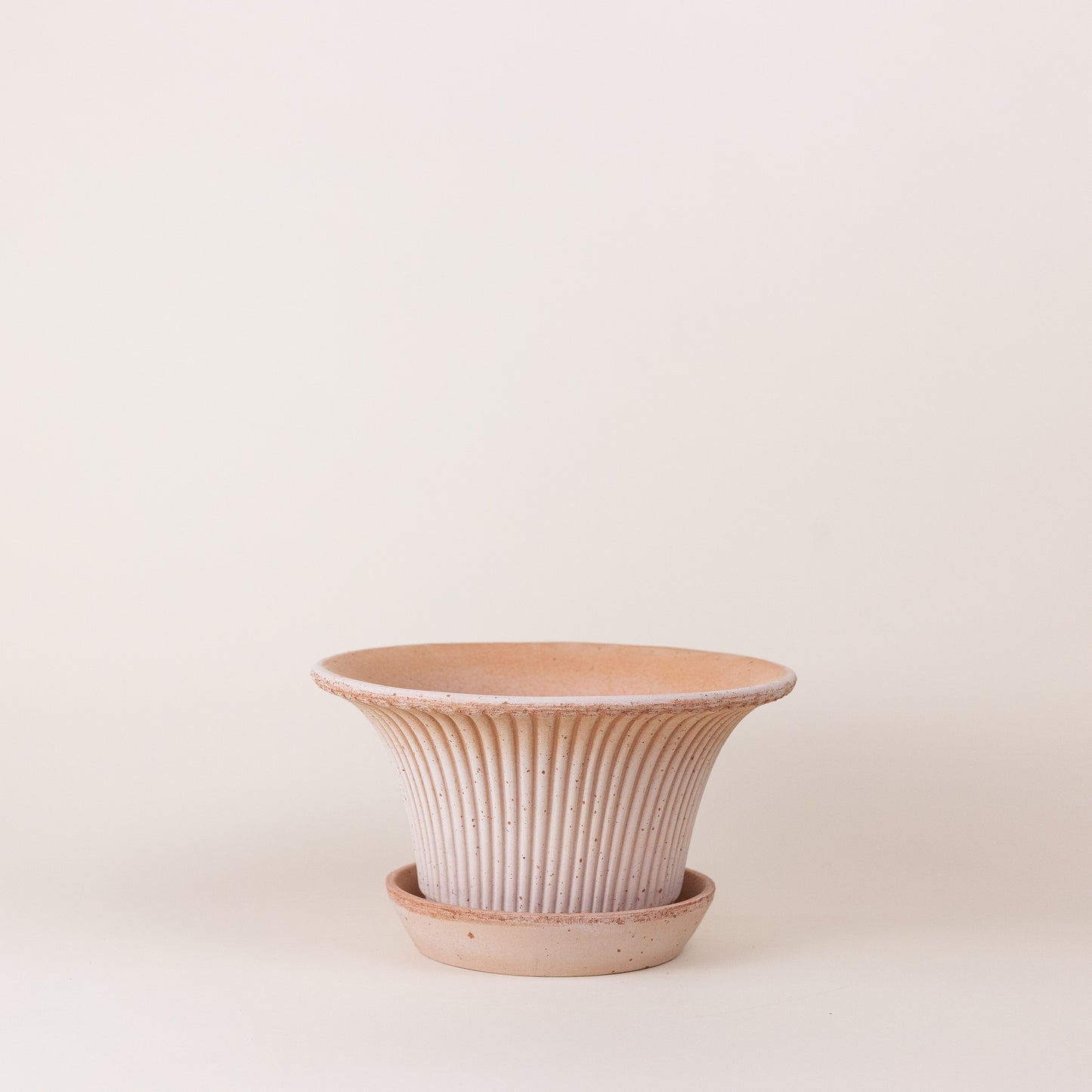 Daisy Pot Ø25 with Saucer