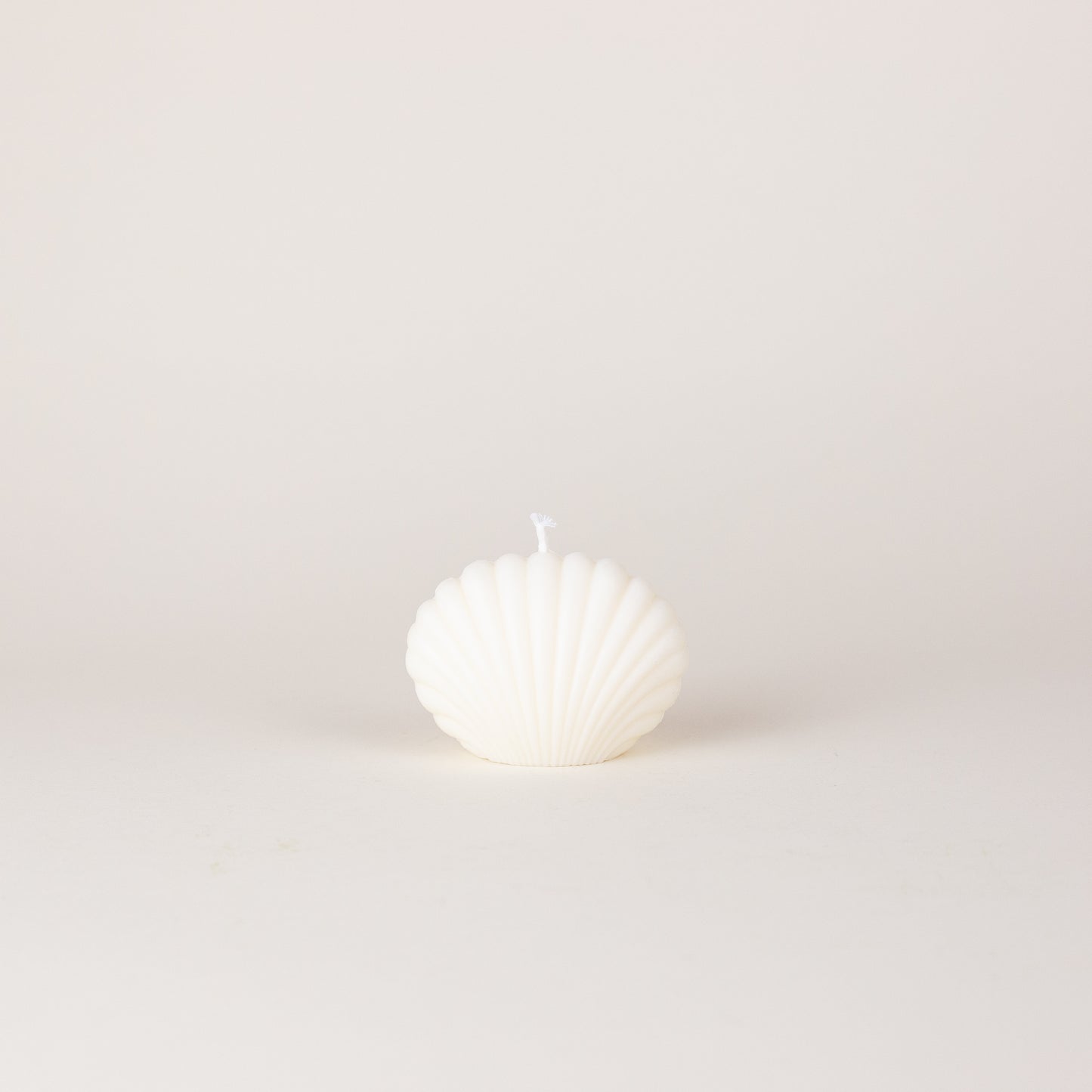 Shell Candle