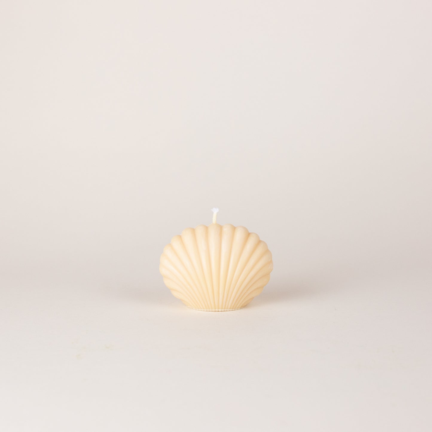 Shell Candle